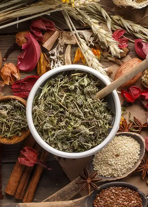 Holistic Healing Remedies