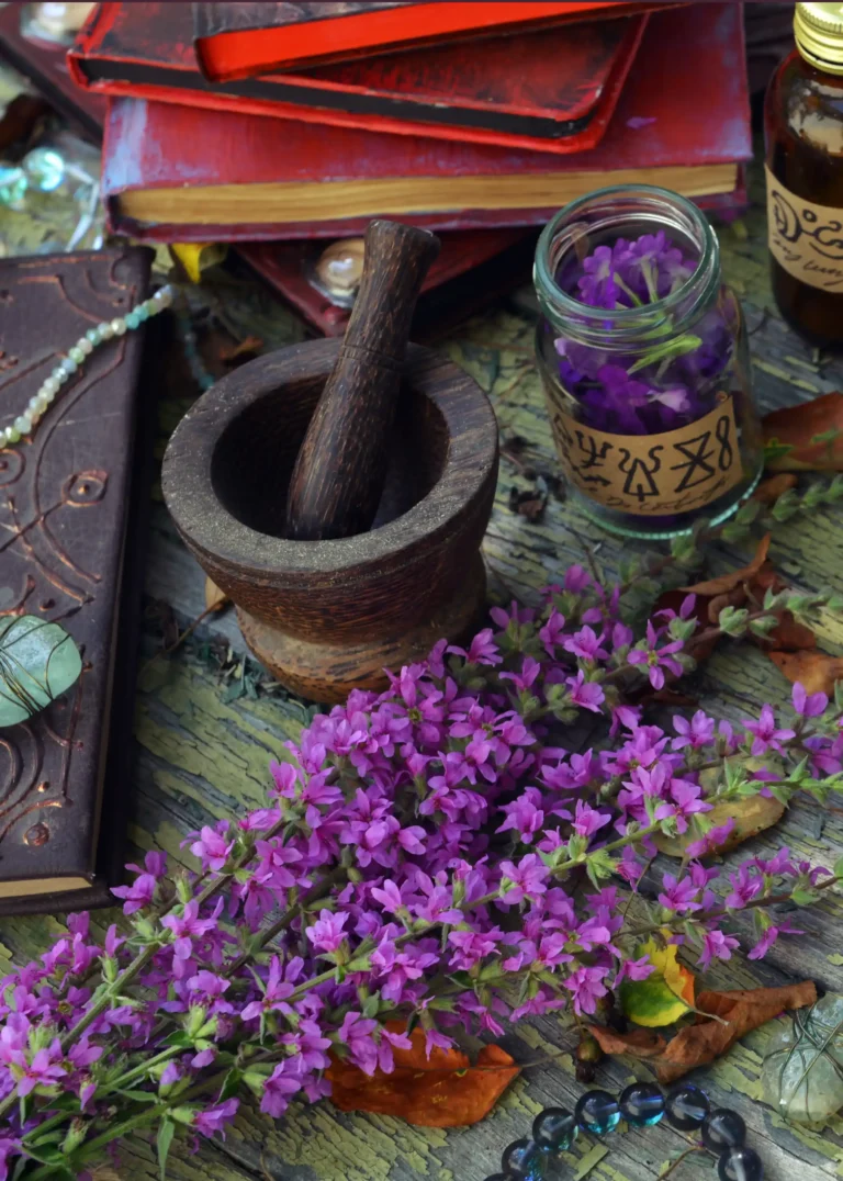 Spiritual Life Coaching​